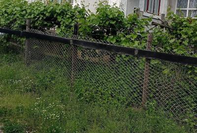 Casă cu 3 camere cu Teren 1800 Mp în Comlod - 2