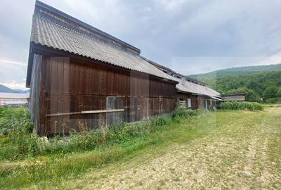 Proprietate pentru turism si agrement, 7.000 mp teren - Ghelinta - 6