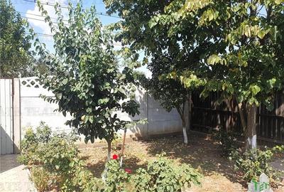 Casa moderna de vanzare in com. Rosiori, jud. Ialomita - 16