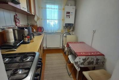 Apartament cu 2 camere semidecomandat în George Enescu - 11
