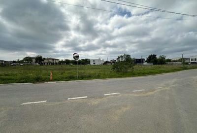 Teren Construcții intravilan de 8877 mp, în Odăile - 3