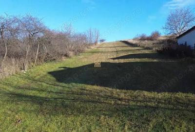 Teren de 2460 mp, în Burdujeni - 1