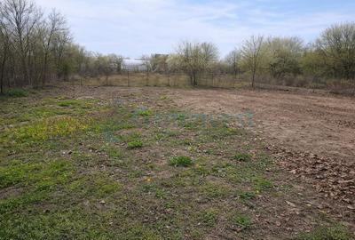 Casă individuală cu 3 camere cu Canalizare în Gepiu - 2