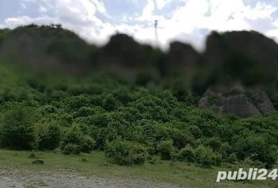 Teren de 1000 mp, în Doftana - 2