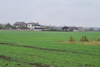 Teren de 3000 mp, în Brănești - 1