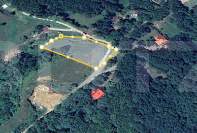 Teren de 5000 mp, în Teișani - 4