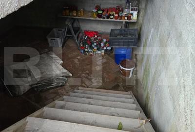 Casa 5 camere 240 mp  si teren 20 ari - Odoreu - 18