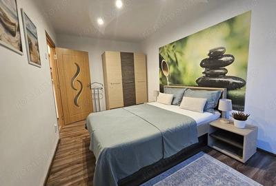 Apartament cu 2 camere semidecomandat în Bălcescu - 12