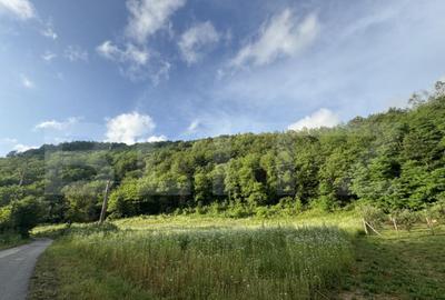 Teren intravilan de 4558 mp - 3