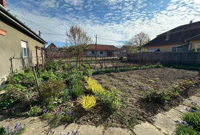 Casă individuală cu 3 camere cu Canalizare în Sud-Est - 29