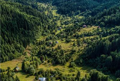Teren de 5771 mp, în Ciocanu - 1