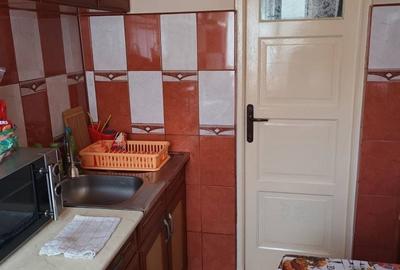 Apartament cu 2 camere semidecomandat în Vladimirescu - 5