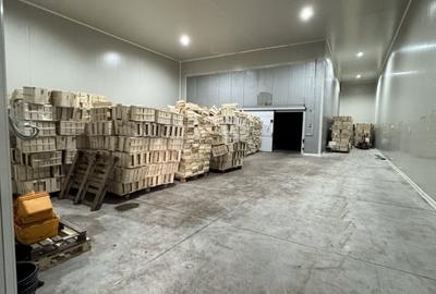 Spațiu comercial, de 420 mp, în Malu Roșu - 11