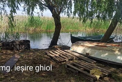 Spațiu comercial, în Murighiol - 6