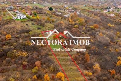 Teren de 4837 mp, în Săldăbagiu de Munte