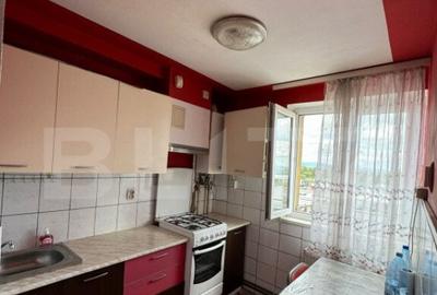 Apartament cu 2 camere semidecomandat, mobilat în Bartolomeu - 8