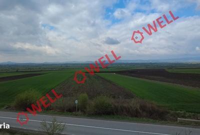 Spațiu comercial, în Bicfalău - 8