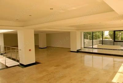 De vanzare cladire comerciala multifunctionala vad deosebit - Ploiesti - 5