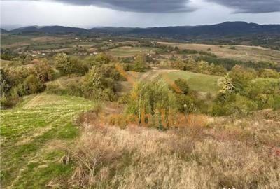 Teren de 9341 mp, în Bălnaca - 5