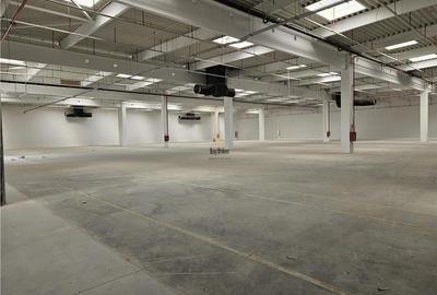 Spatiu Industrial - 4000 mp - Productie - Depozitare - Distributie - 3