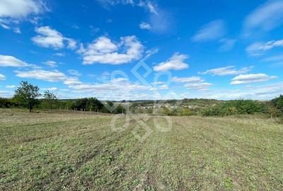 Teren intravilan 5995 mp in Hidiselu de Sus - 1