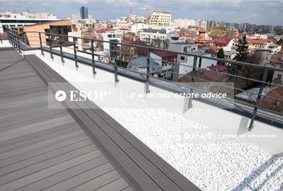 Birou, de 768 mp, în Romană - 11