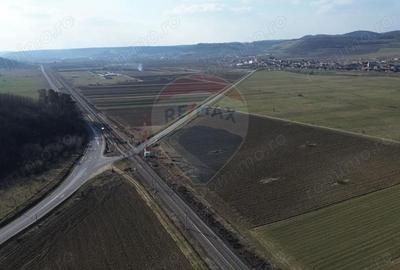 Teren de 19319 mp, în Hoghilag - 2