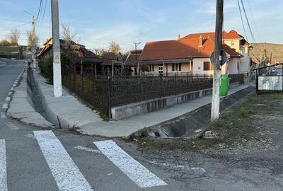 Casă cu 4 camere în Viișoara - 4