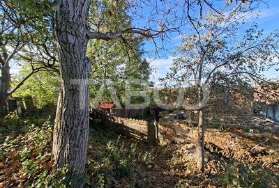 Casa cu 6 camere 720 mp teren in sat Bungard din judetul Sibiu - 28