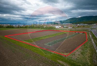 Teren agricol extravilan de 20000 mp, în Cristian - 4