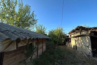 Spațiu comercial, în Fulga - 4