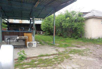 Hala nord Odobesti, Vrancea - 3