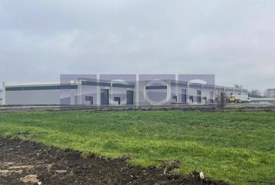 De vanzare hala in Mogosoaia cu iesire la Centura Bucuresti - 1