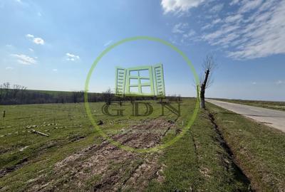 Teren Construcții intravilan de 2500 mp, în Bucovăț - 2