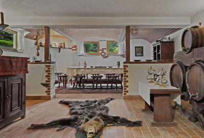 Domeniul Carpați - Vilă cu parc privat si panoramă montană ideal Airbnb/Booking - 46