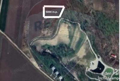 Teren 5,000mp Vorovesti / None - 2