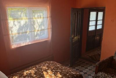 Casa + curte mare, renovari recente, la 20km de Craiova - 2