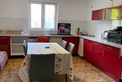 Casă individuală cu 5 camere cu Canalizare în Mânăstirea - 7