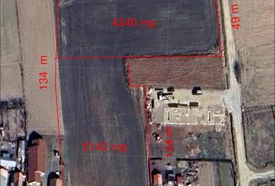 5000 mp. teren intravilan - Les - IMOBIHOR - 6