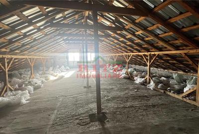 Spațiu comercial, de 560 mp, în Crișan - 6