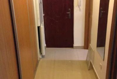 Garsoniera-CONSTANTIN-BRANCOVEANU-BUDMEX - 5