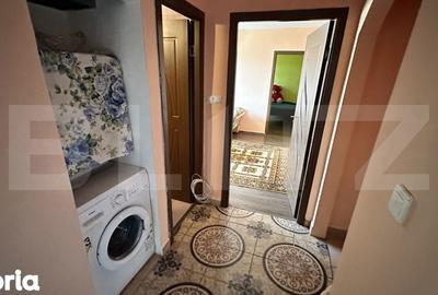 Apartament cu 3 camere semidecomandat în Cetate - 12