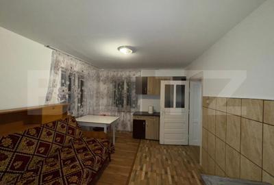 Casă cu 4 camere cu Teren 5594 Mp în Criș - 17