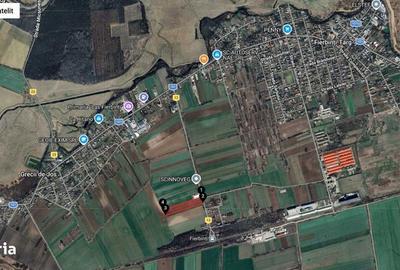 Teren de 19000 mp, în Fierbinți-Târg - 1