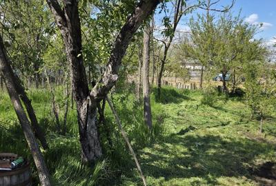 Teren agricol intravilan de 2050 mp, în Valea Măcrișului - 7