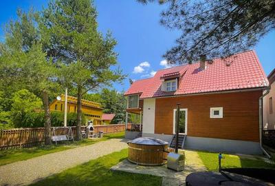 Casa la cheie /vila/pensiune Valiug,Crivaia . - 21