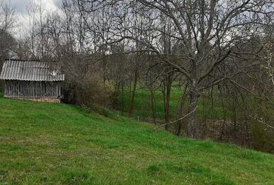 Casa de vanzare Cerbureni Arges - 10