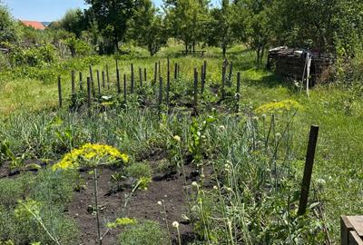 Casă cu 3 camere în Reghin - 3