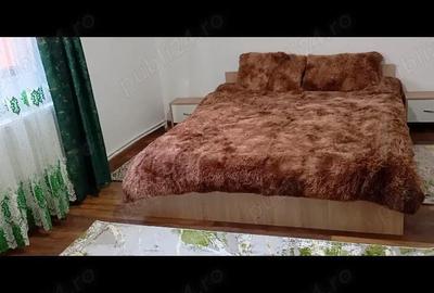 Casă cu 3 camere cu Teren 10 Mp în Lunca - 9