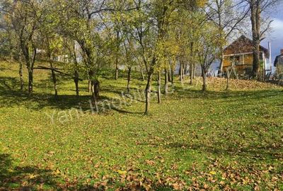 Teren de 1587 mp, în Arefu - 9